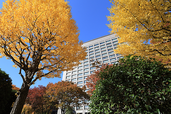 宮城県庁舎