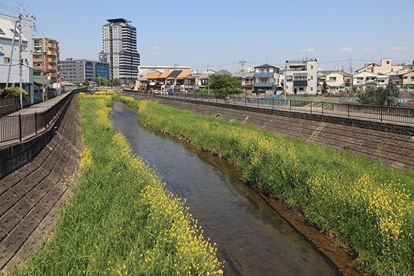 日本電産本社・中央開発技術研究所