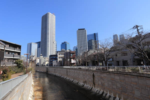 ザ・パークハウス西新宿タワー60