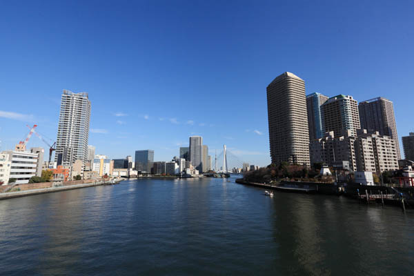 パークシティ中央湊 ザ タワー