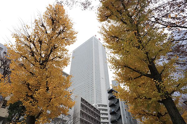 東京電子専門学校 1号館