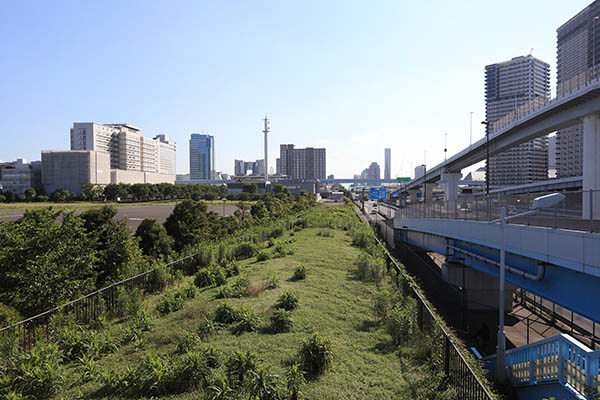 シティタワーズ東京ベイ