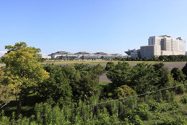 シティタワーズ東京ベイ