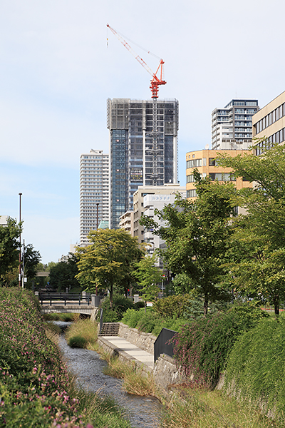 シティタワー札幌