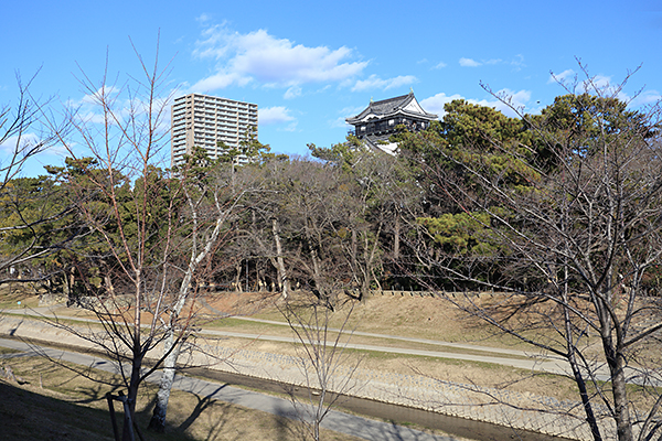 リコットタワー岡崎康生