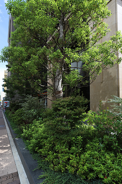 ローレルタワー名古屋栄