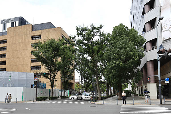 横浜 日本大通りプロジェクト