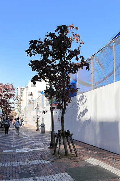 川口栄町3丁目銀座地区第一種市街地再開発事業