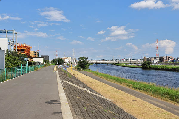 ドレッセタワー新綱島