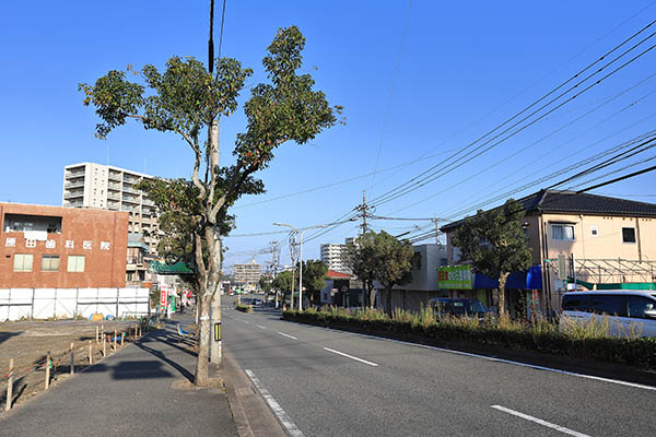 サンパーク浅川 ザ・タワー