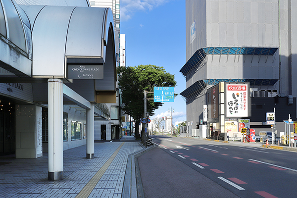 レーベン秋田 THE IMPERIAL TOWER