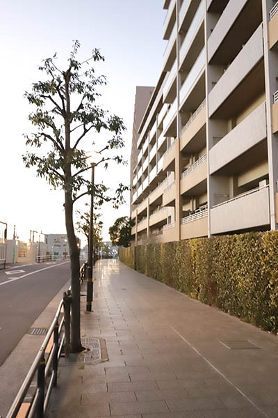 シティタワー千住大橋