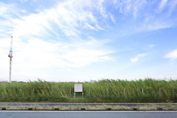 幕張新都心若葉住宅地区計画（B-4街区）