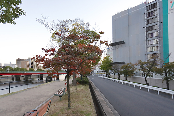 ウエリス皆実町