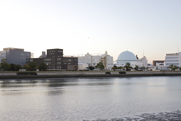 ウエリス皆実町