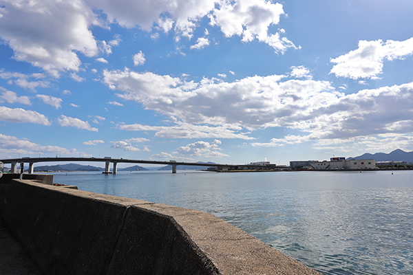 ヴェルディ・ザ・タワー楽々園