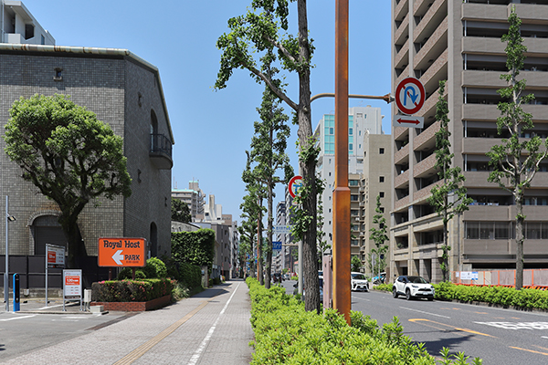 グランドパレス平之町タワー