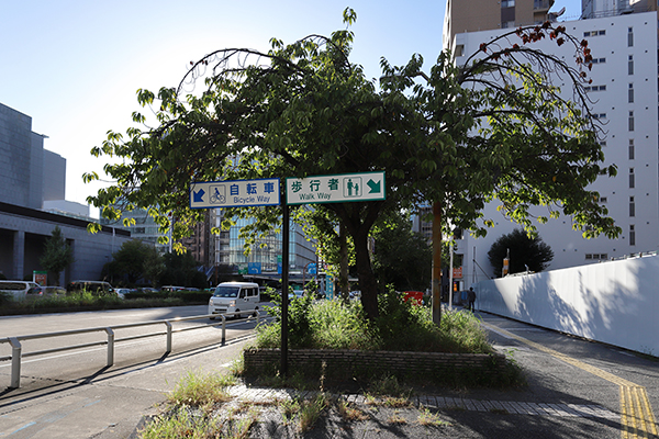 ADC BLD.MARUNOUCHI新築工事