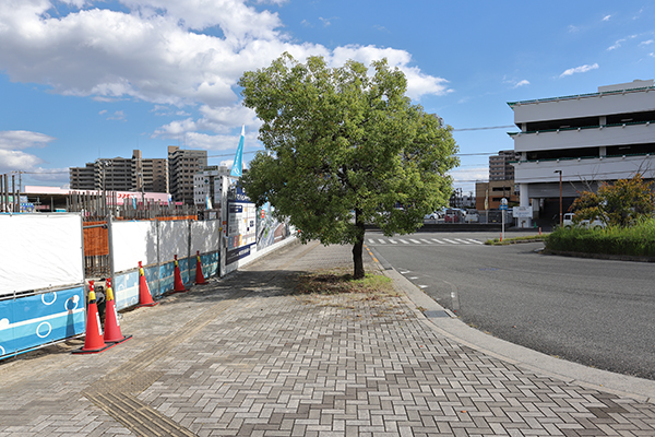 ヴェルディ・ステーションテラス阿品