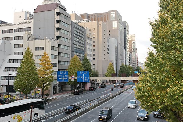 (仮称)銀座7丁目昭和通り開発計画