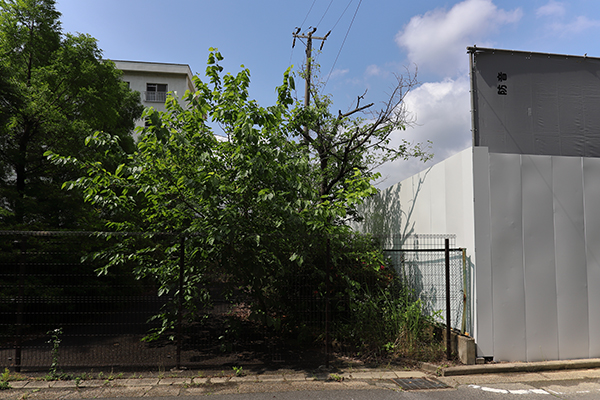 (仮称)枚方市楠葉計画