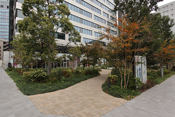 (仮称)渋谷桜丘14街区共同建替え計画